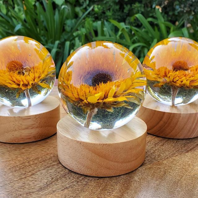 Sunflower Resin Sphere with Light Base | Handmade Resin Craft with Real Sunflower Inside - Home Décor Night Light, Accent Lighting