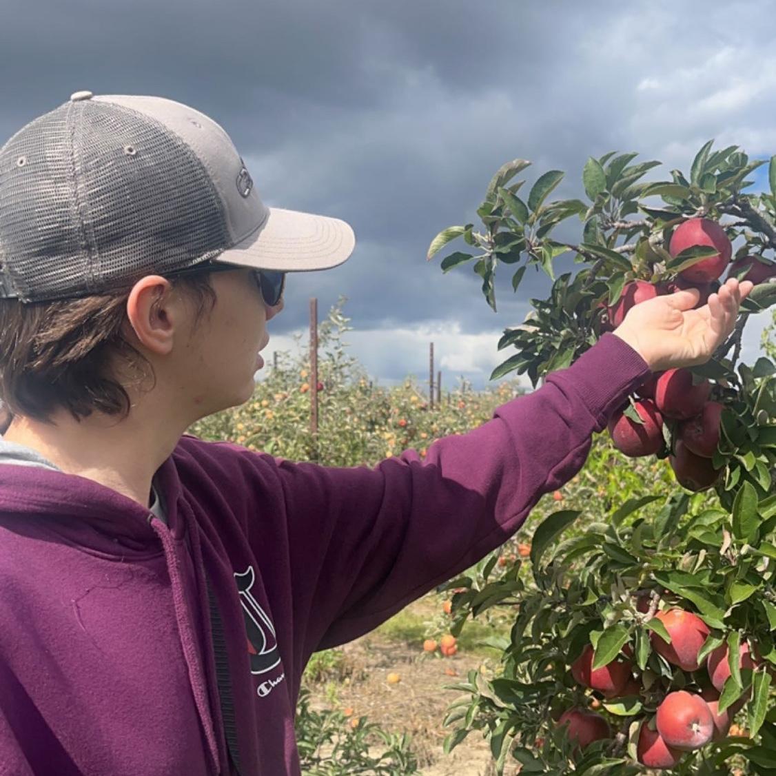 Apple picking 🍎🍏