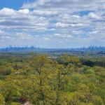 Eagle Rock Nature Walk
