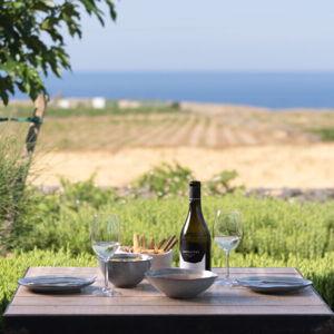 Greek Wine Tasting Tour