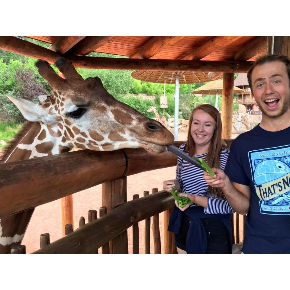Feeding giraffes at the Cheyenne Mountain Zoo
