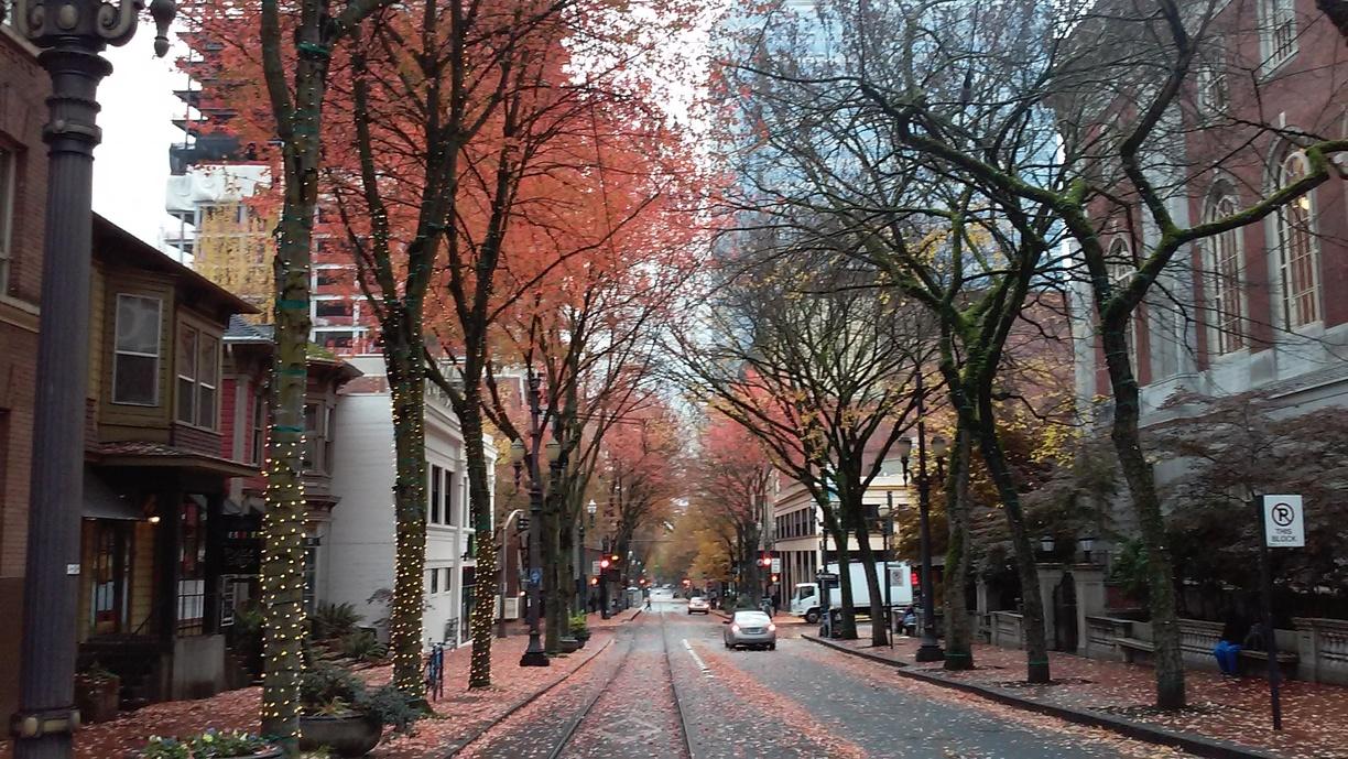 86ddf01c-84e1-4464-8684-519fa9f8f117