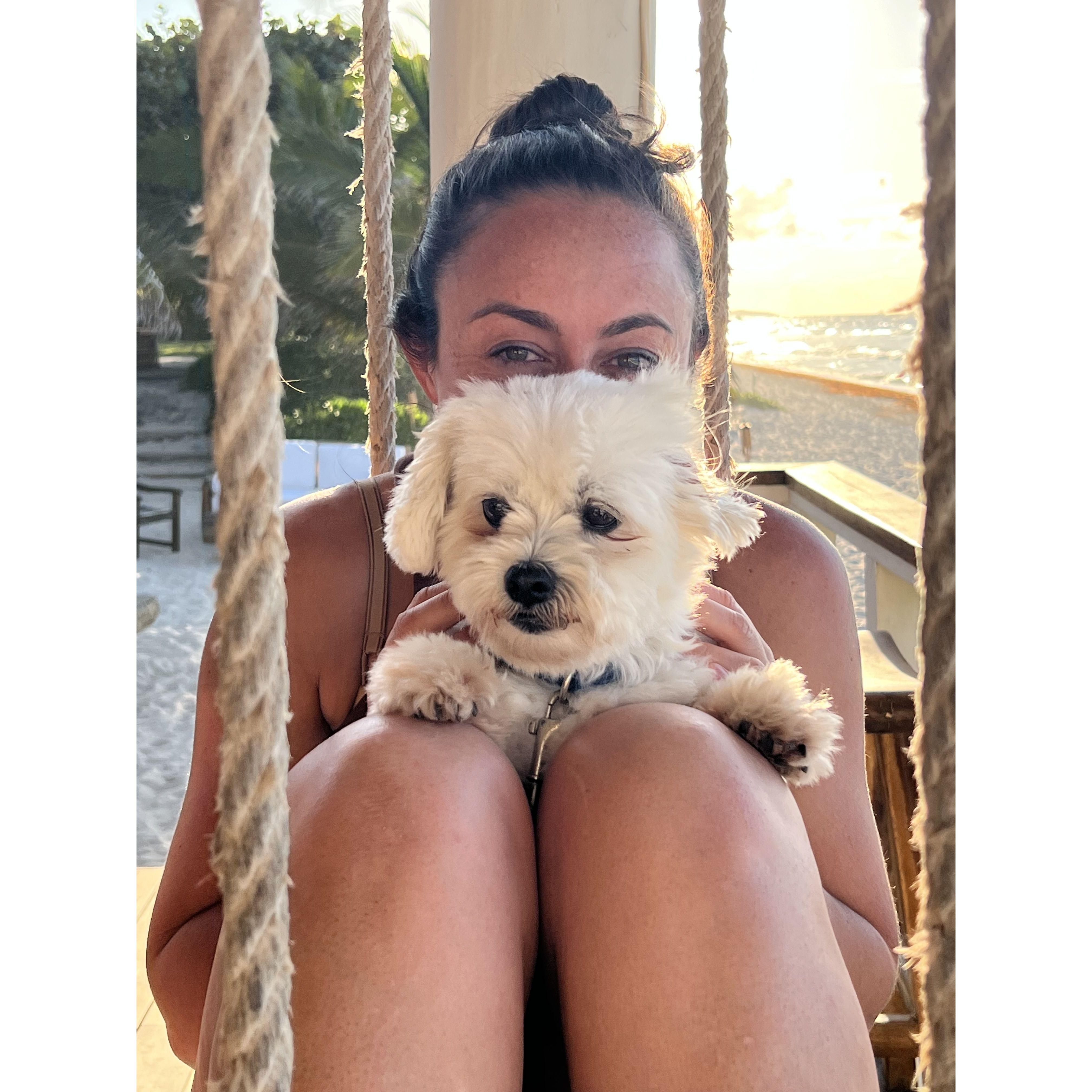 My parents dog - roadie