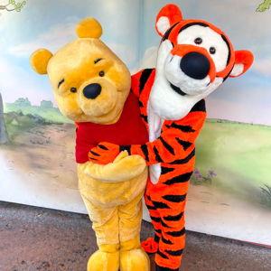 Lunch with Winnie the Pooh at Disney World