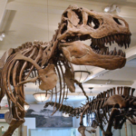 California Science Center & Natural History Museum