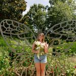 Botanical Garden Of The Ozarks