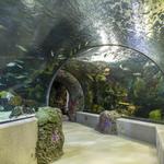 Virginia Beach Aquarium