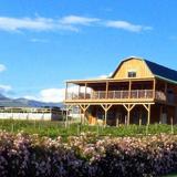 Blueberry Hills Farm