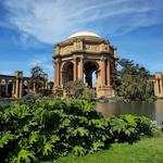 Palace of Fine Arts