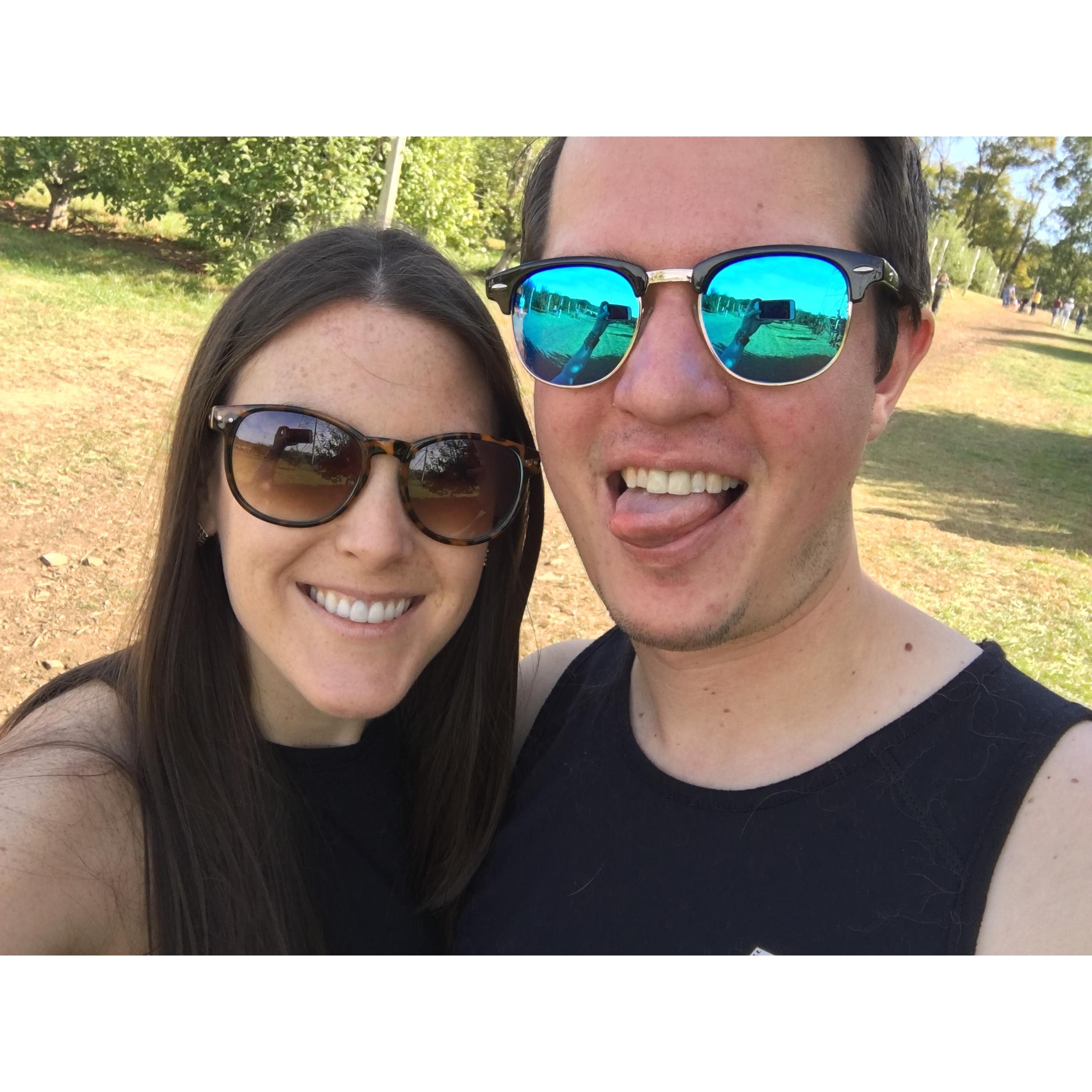 Apple Picking in New Jersey