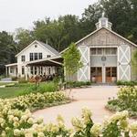 Pippin Hill Farm & Vineyards