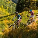 Wheels Bike Shop (Bike Rentals)