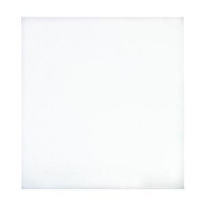 32 sq. ft. 96 in. x 48 in. Hardboard Thrifty White Tile Board