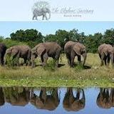 Elephant Sanctuary Plettenberg Bay