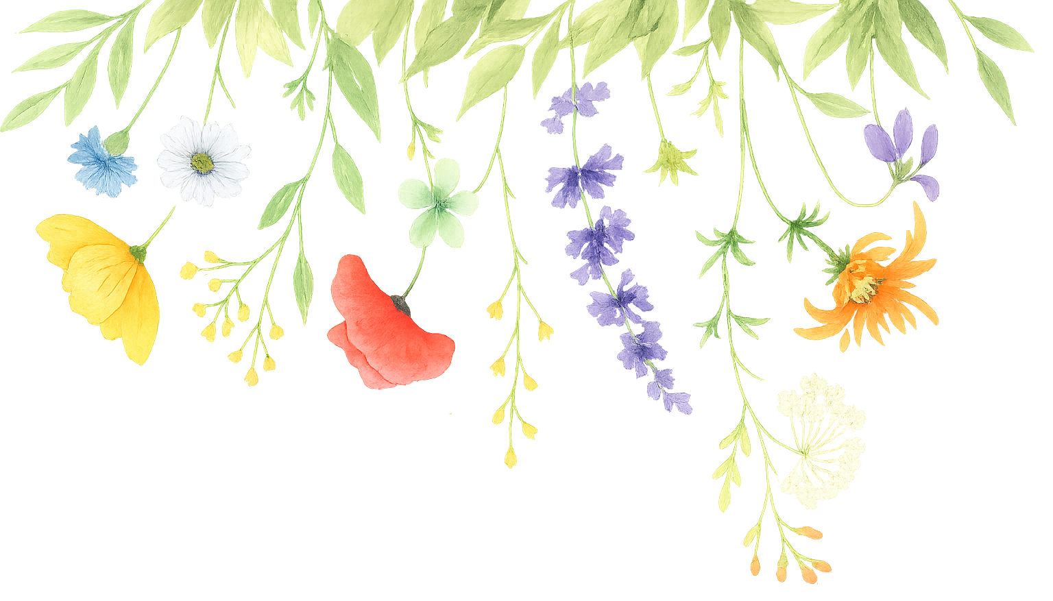 The Wedding Website of Alex Clarke and Megan Cullen