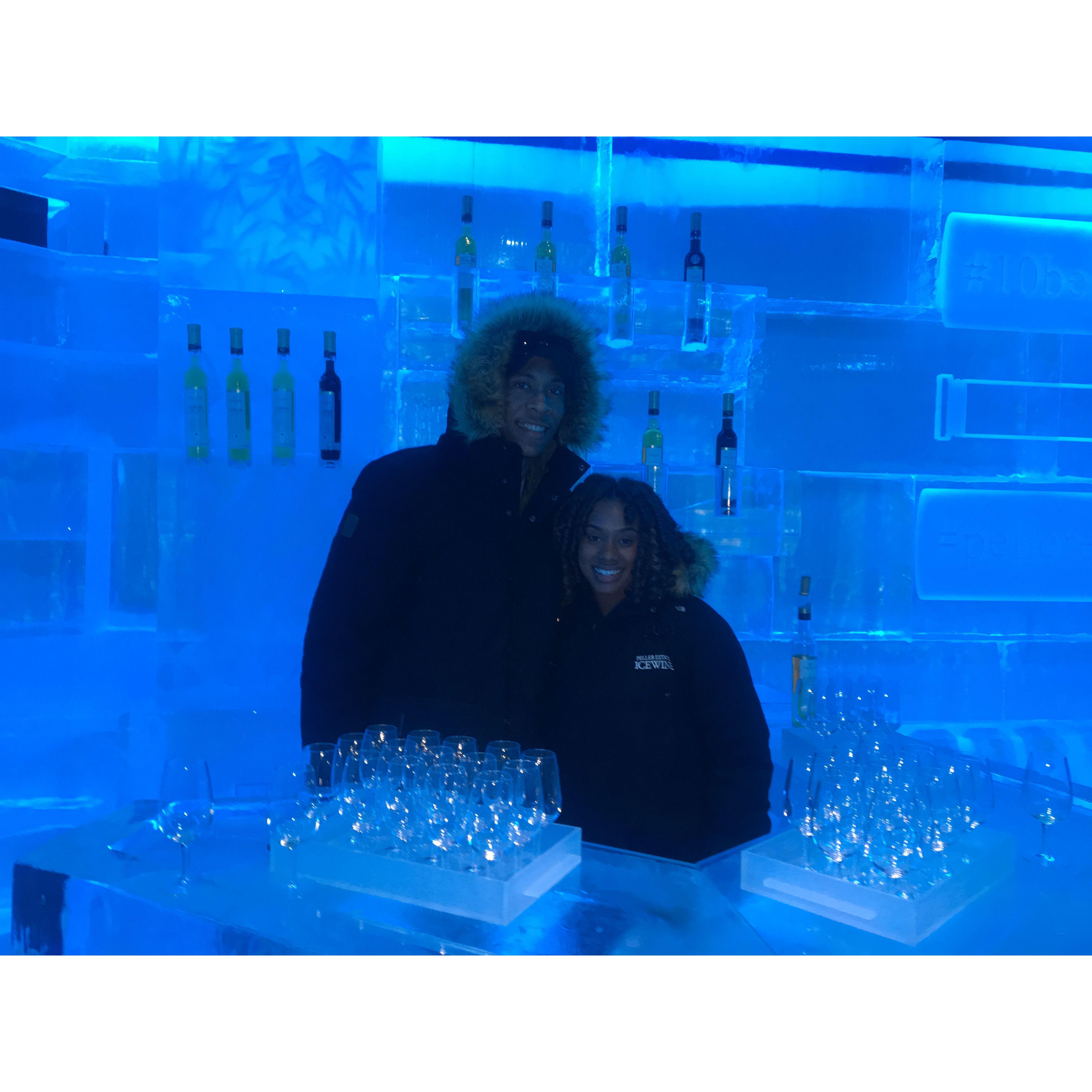 Ice Wine tasting in Niagara Falls