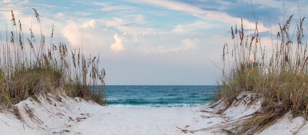 The Wedding Website of sonya garza and Guy Castranova