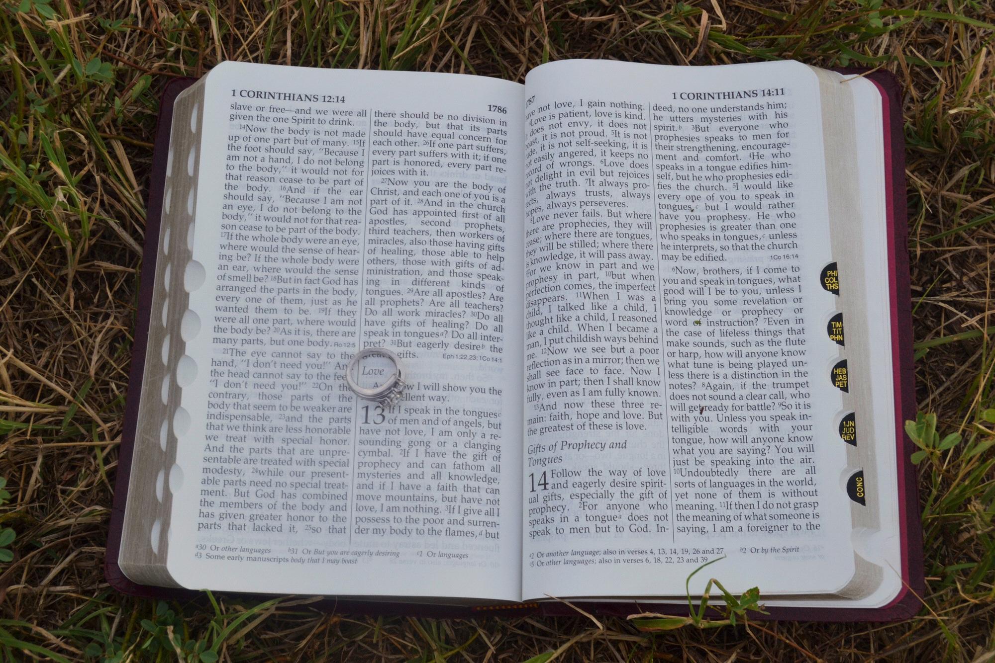 Here are our official engagement photos! Photos by: Kayla Harris (SpurOfTheMomentPhotography)