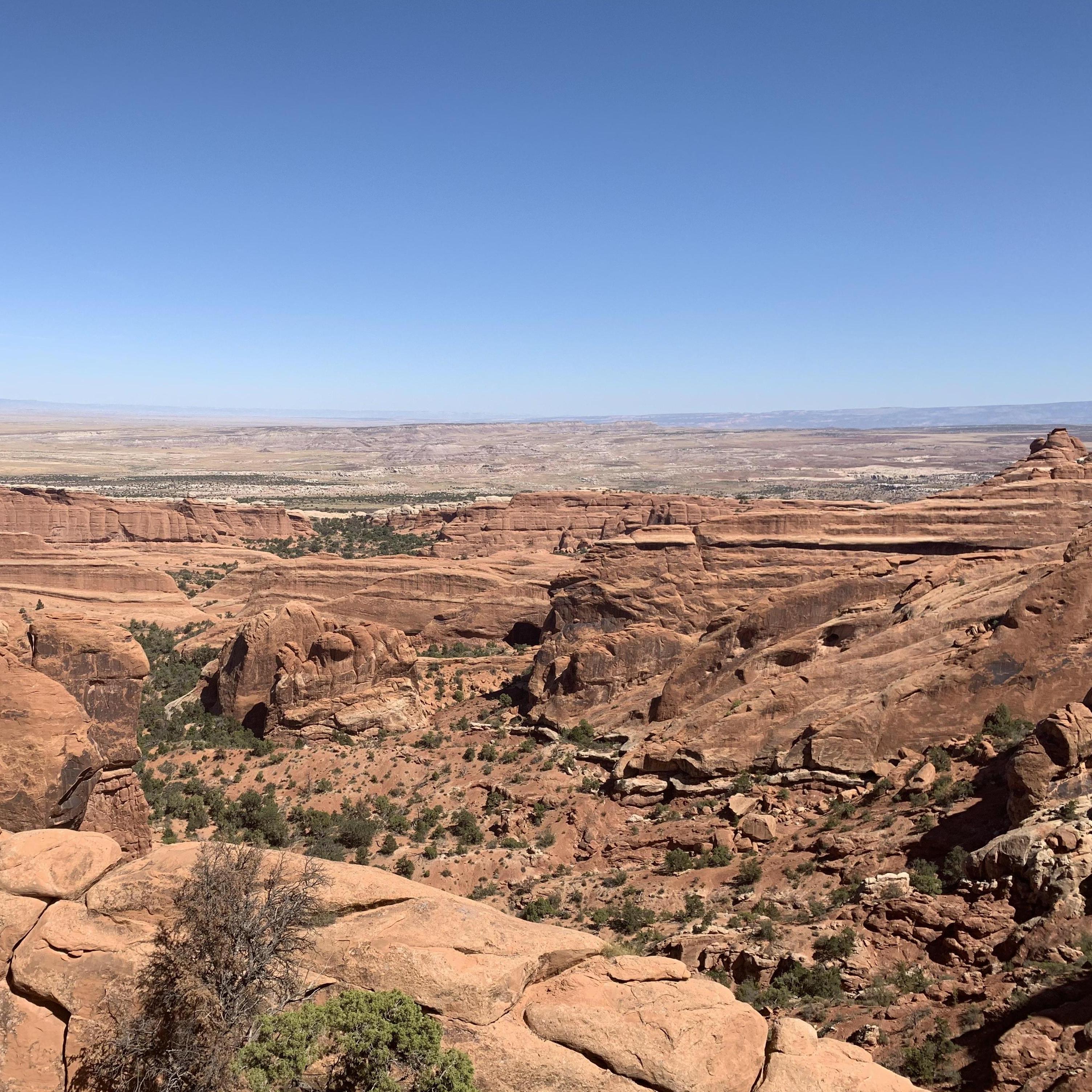 Arches and fins.