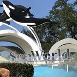 SeaWorld Orlando