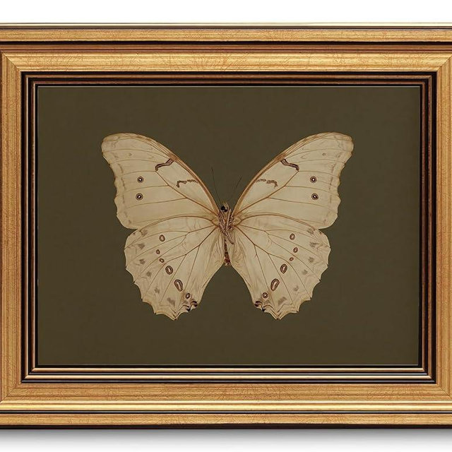 Gold Framed Wall Art Vintage Butterfly Canvas Wall Art White Butterfly Moody Insect Artwork Prints Picture for Living Room Bedroom Farmhouse Bathroom Office Decor, 8x10