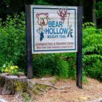 Bear Hollow Zoo
