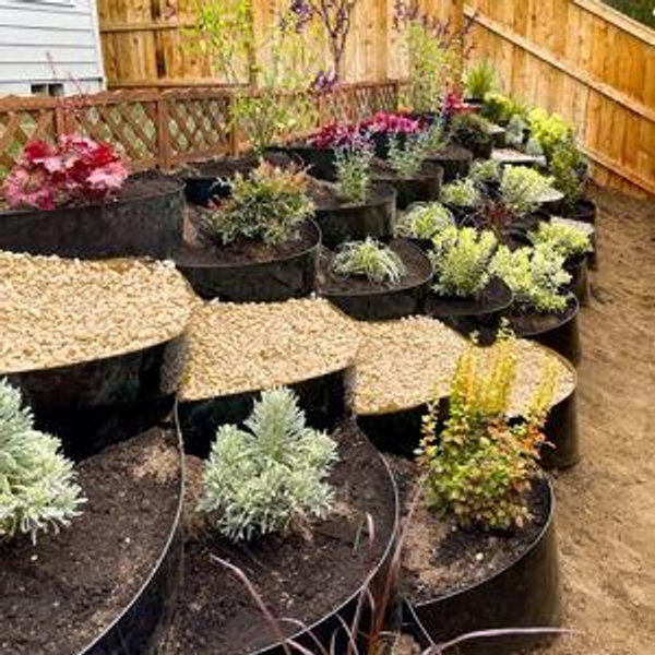 Backyard Fund (Contribute $50)