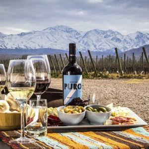 Uco Valley Wine Tour