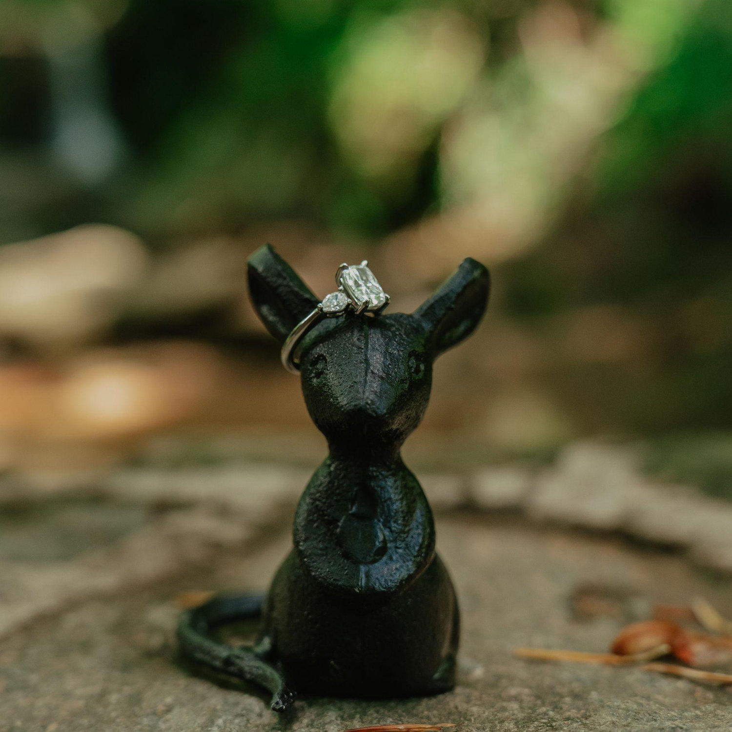 In Greenville, SC there is a scavenger hunt of statue mice. The only problem was there's no mice in Falls park- so Kali created 1 with a model sold at a local shop, to lead Ilissa to Ryan!