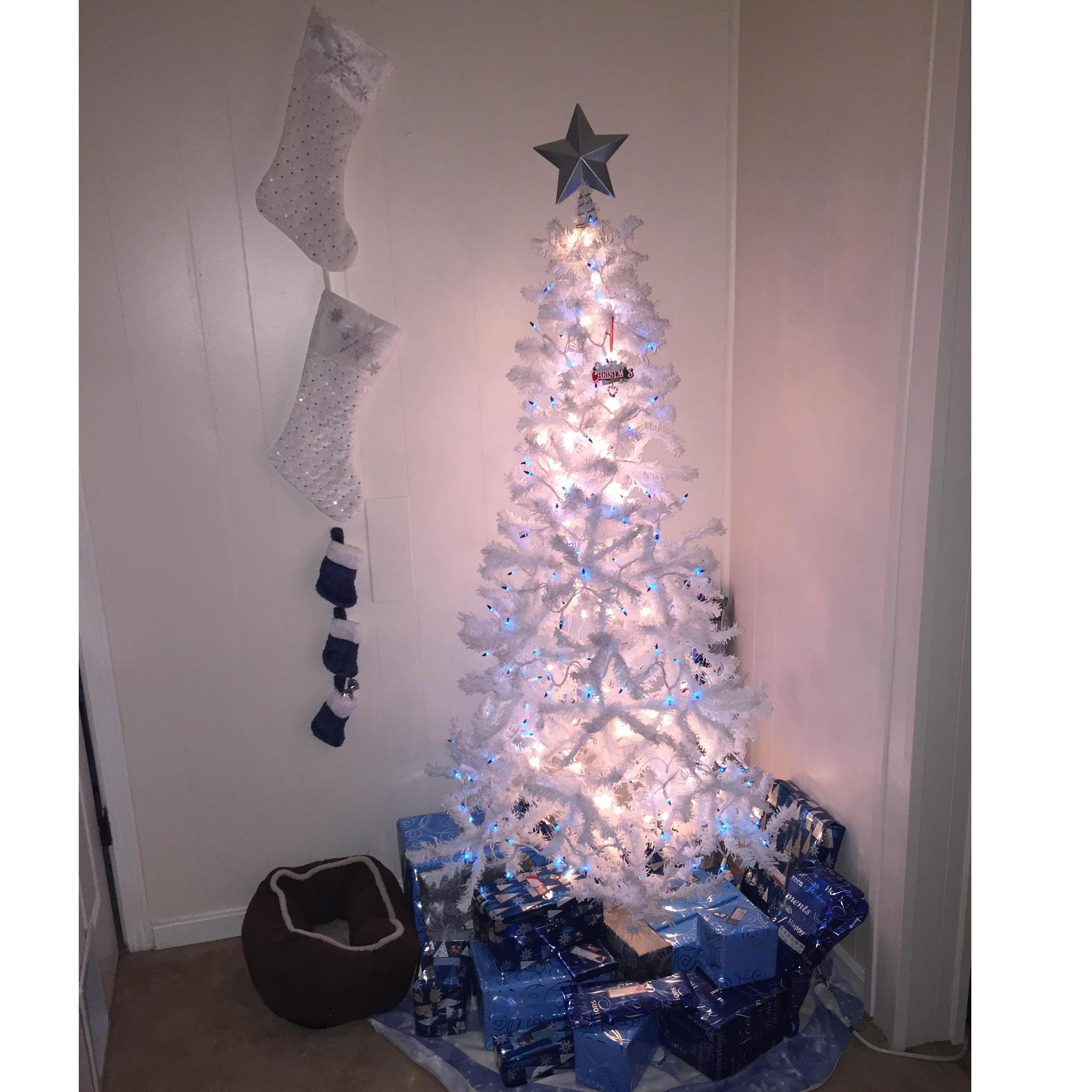 Our first Christmas tree!