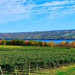 Seneca Lake Wine Trail