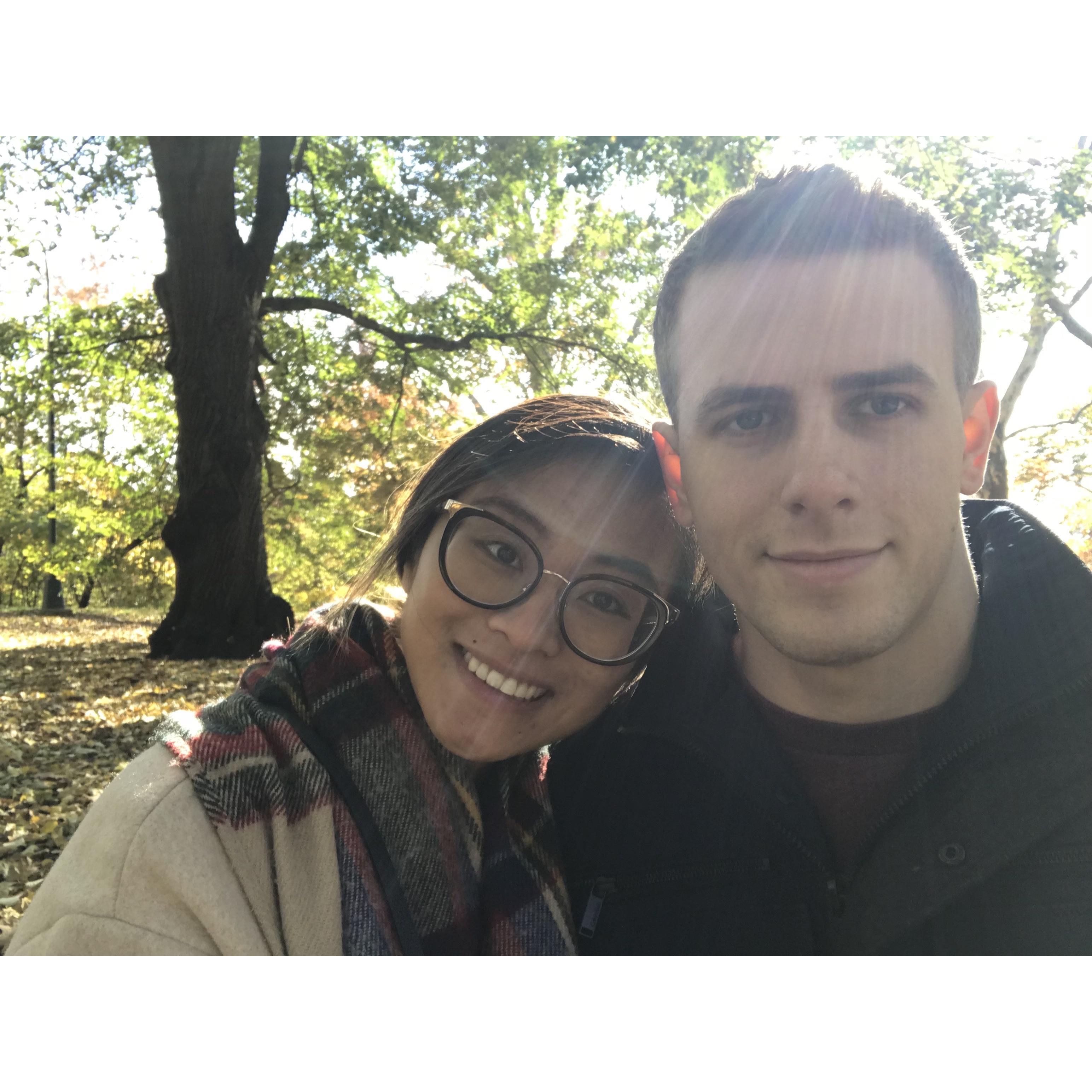 Central Park Strolls