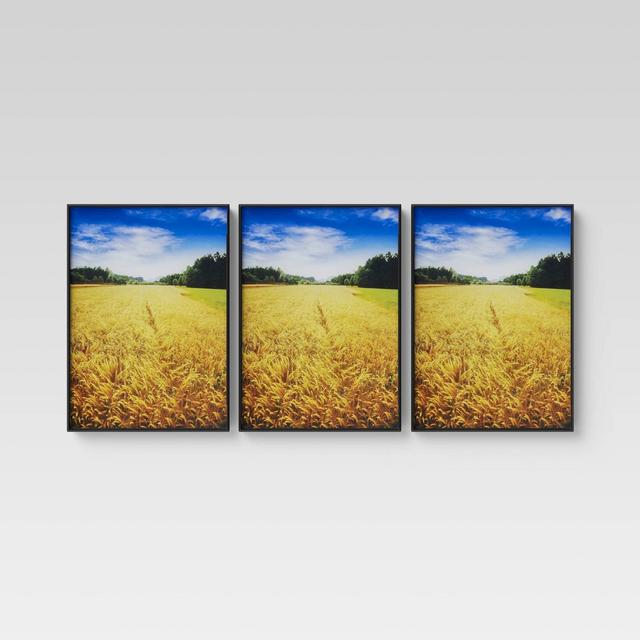 5" X 7" Set of 3 Format Frames Black - Room Essentials™