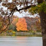 Herrick Lake Forest Preserve