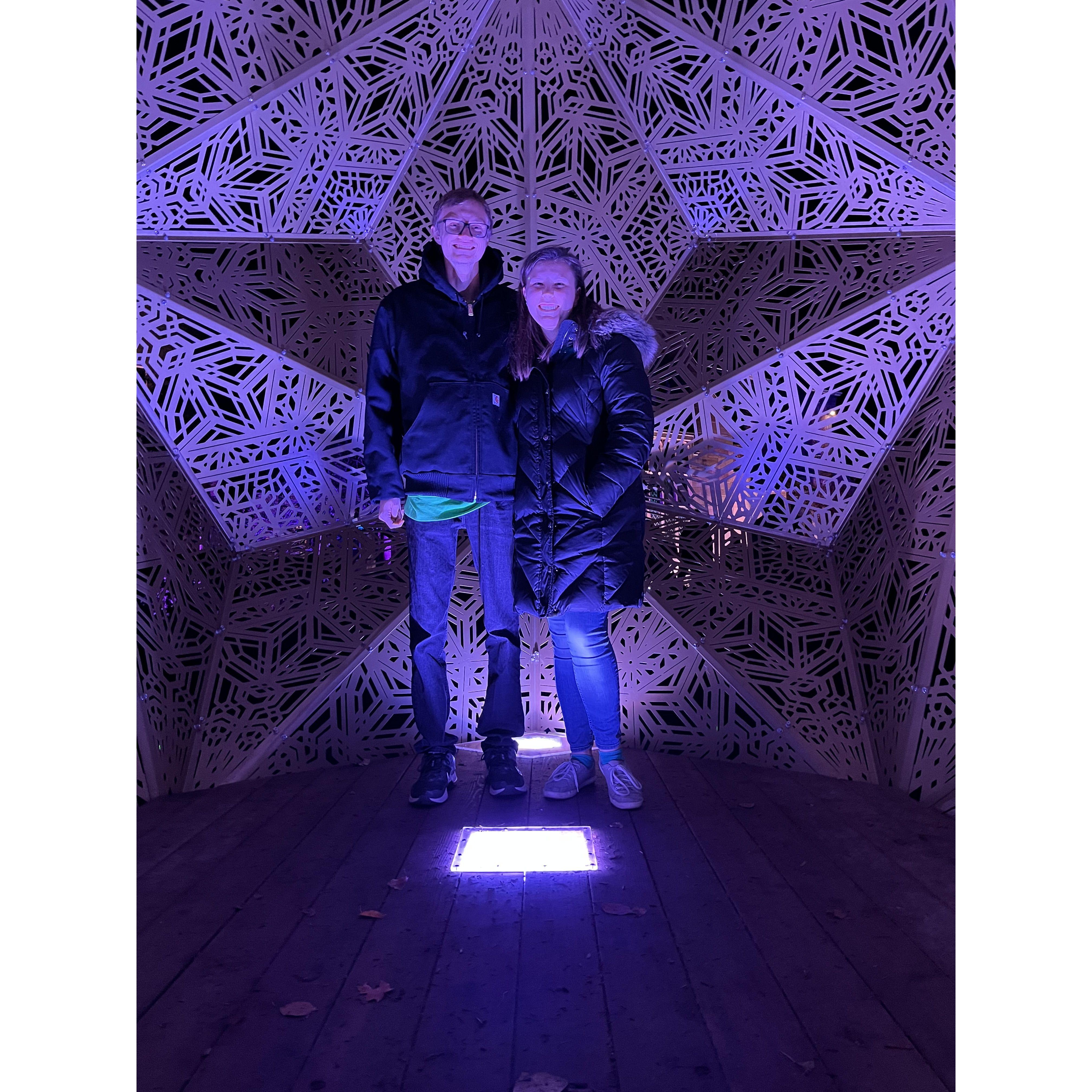 Paine Art Light Show