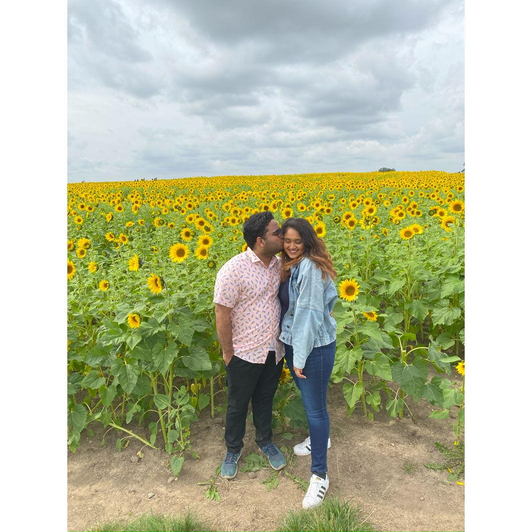 Our first time visiting a sunflower garden, and we finally realized nature can outshine us every time!