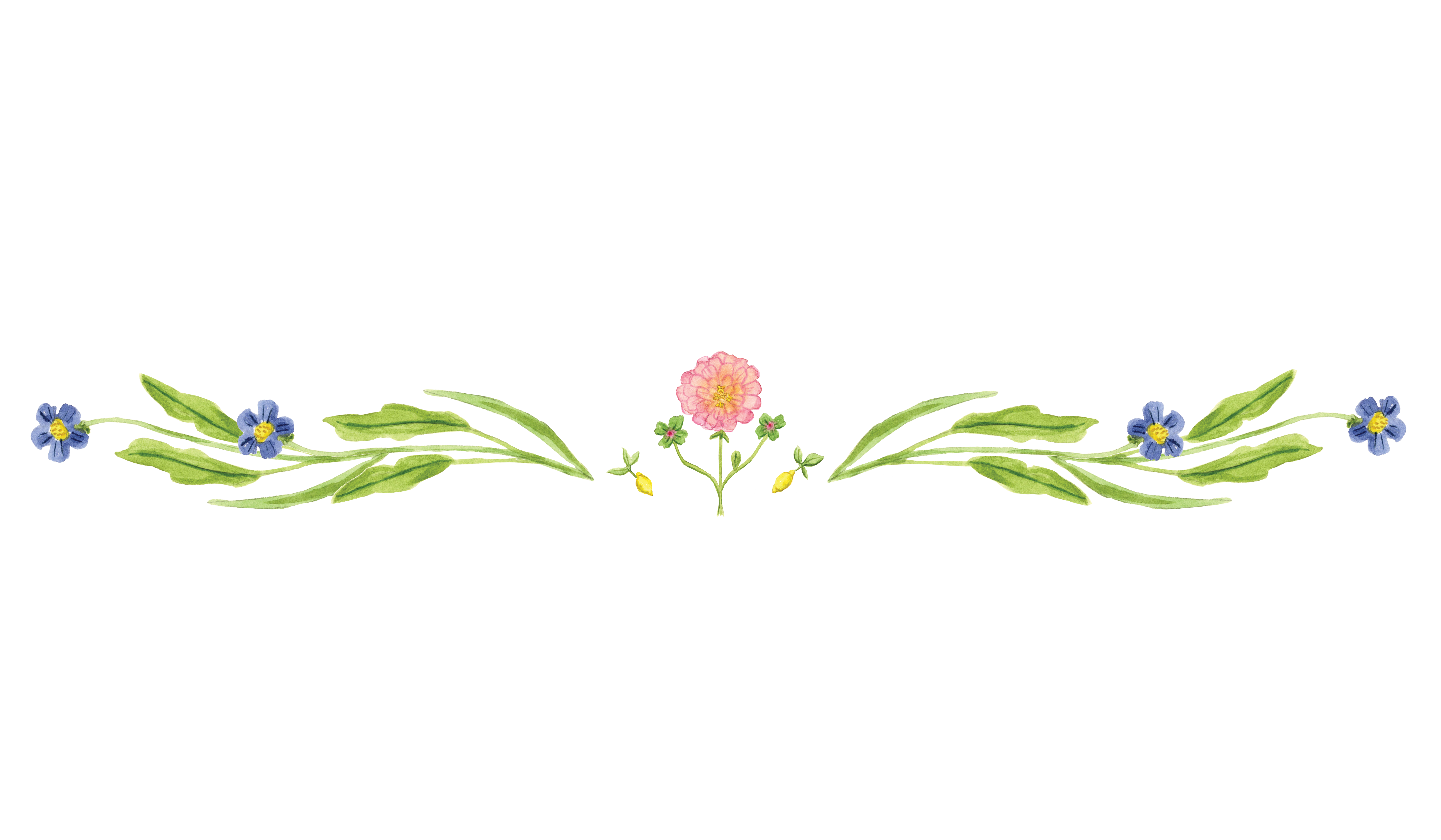 Footer image