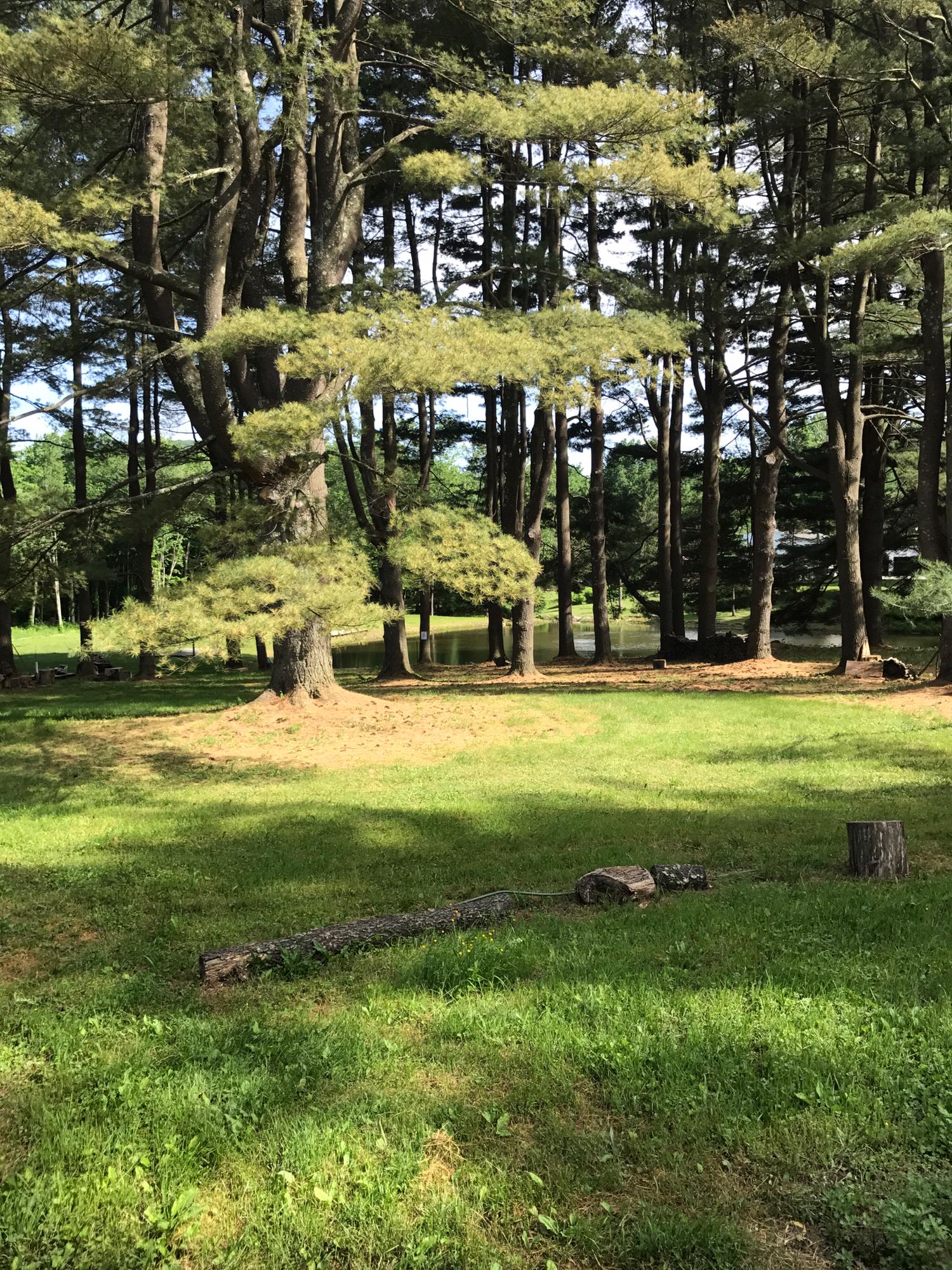 Lower camping ground and swimming hole