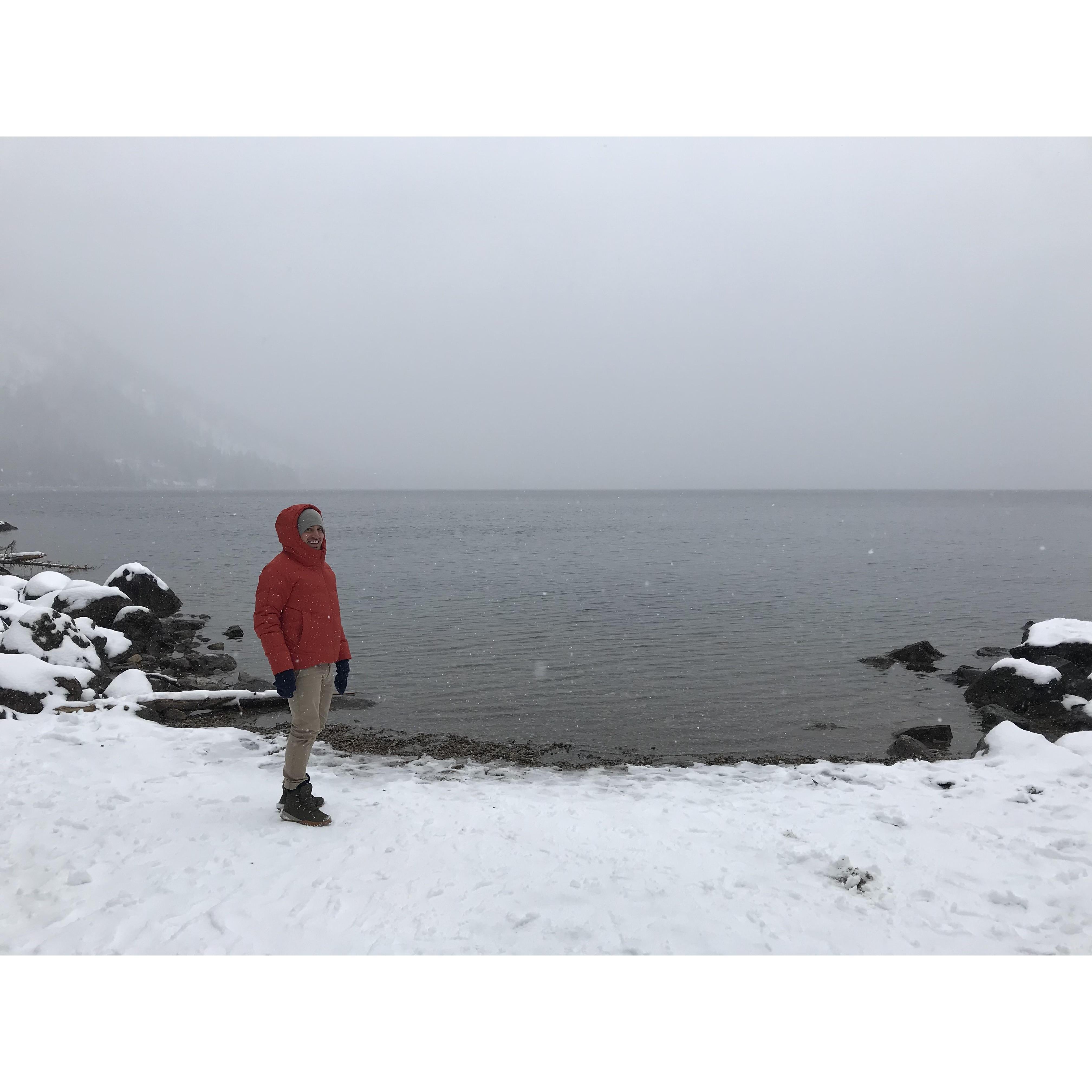 Moments after leaving a trail...because of bear warning signs. Grand Teton National Park, WY