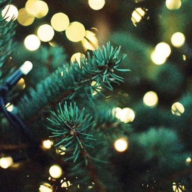 Christmas Ornament Collection