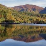 Leaf Peeping
