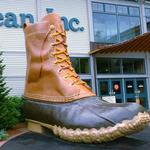 L.L.Bean