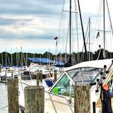 Fishing Charters