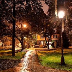 Savannah Georgia Landscape Photography LaFayette Square Live Oak Spanish Moss Wall Decor Fine Art Color Traditional Southern Home Office