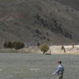 Fly Fishing