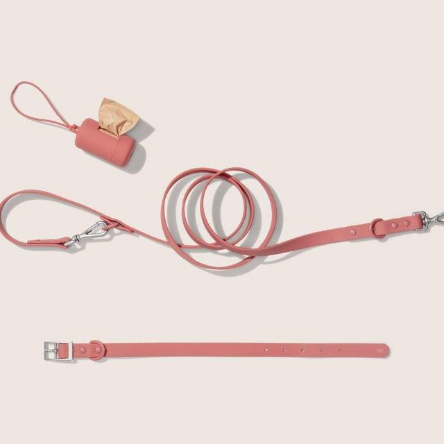 Wild One Dog Walk Kit