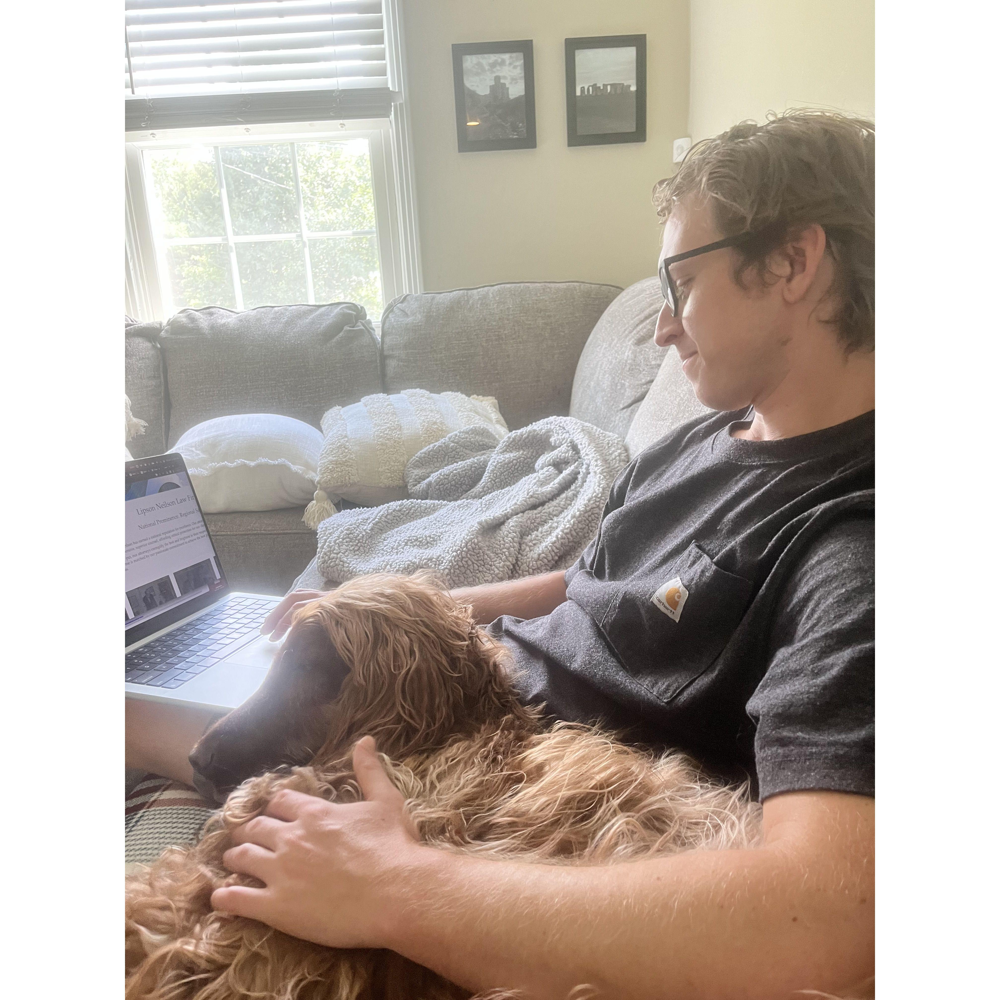 Hamilton was so happy when Sidney moved in and worked from home
