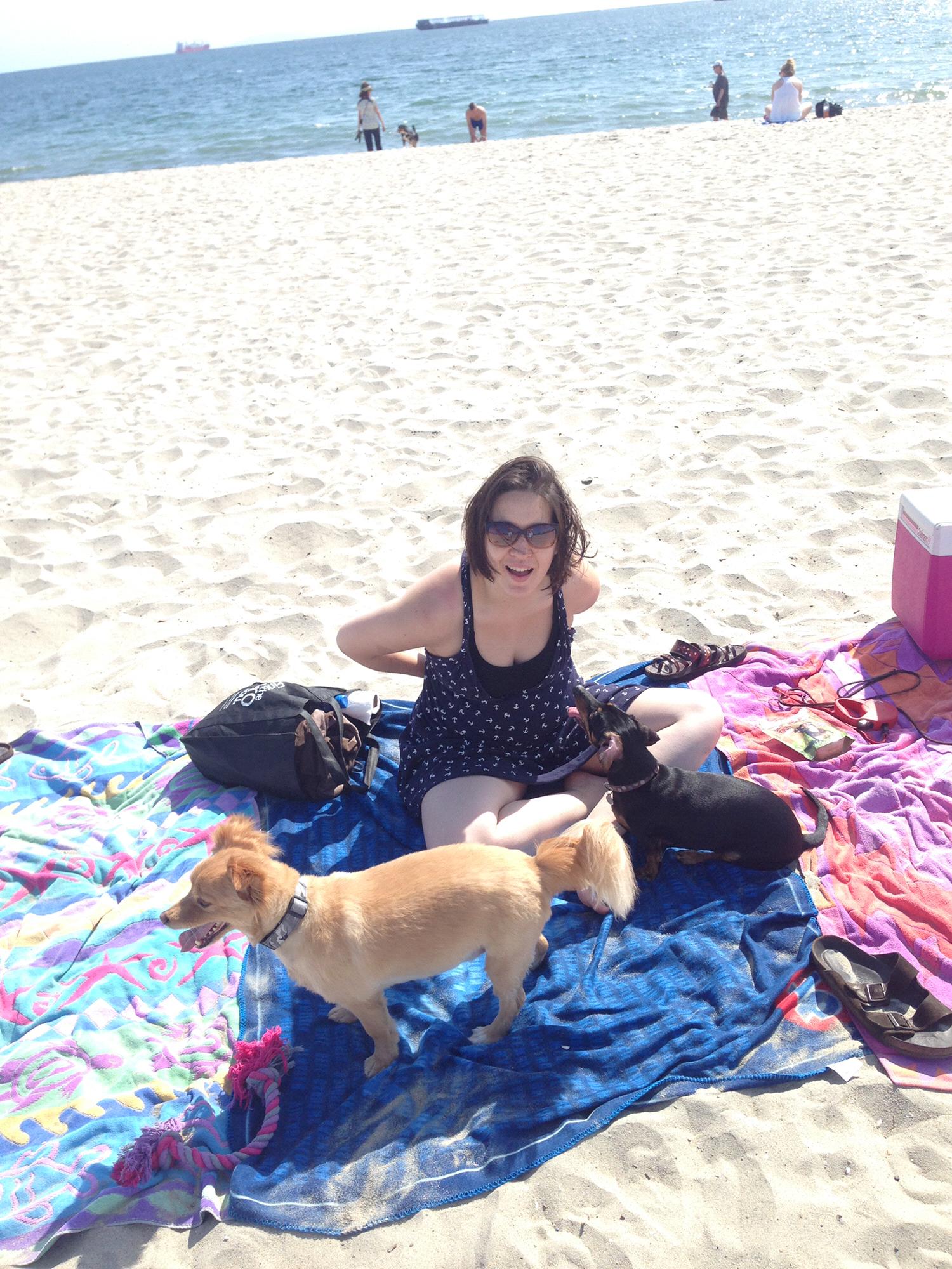 The day at the dog beach with the whole family