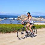 Bicycle Rental