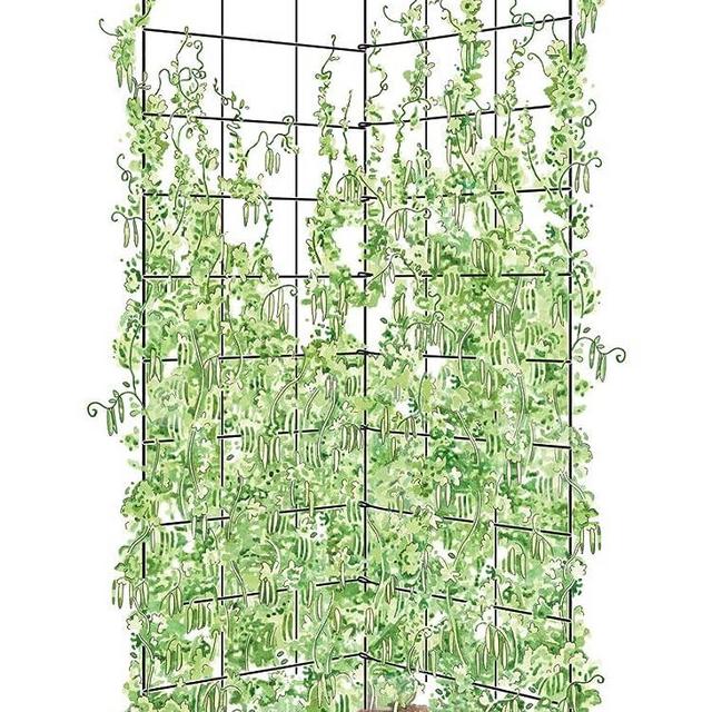 Gardeners Supply Company Two Panel Folding Garden Trellis | Sturdy Metal Frame Outdoor Cucumber, Pea Trellis & Other Climbing Vegetable Garden Plants Support | ​35-1/2"W x 58" H